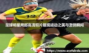手的体
